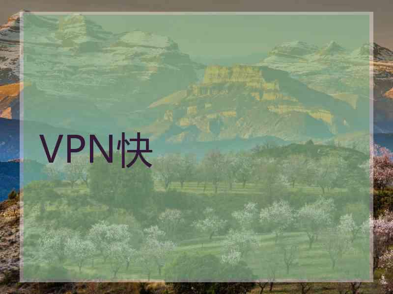 VPN快