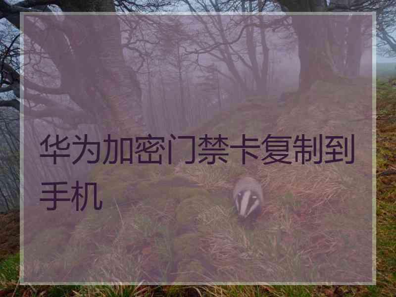 华为加密门禁卡复制到手机