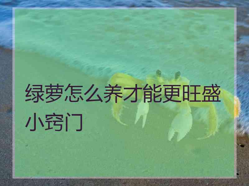 绿萝怎么养才能更旺盛小窍门