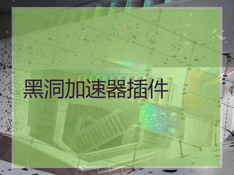 黑洞加速器插件