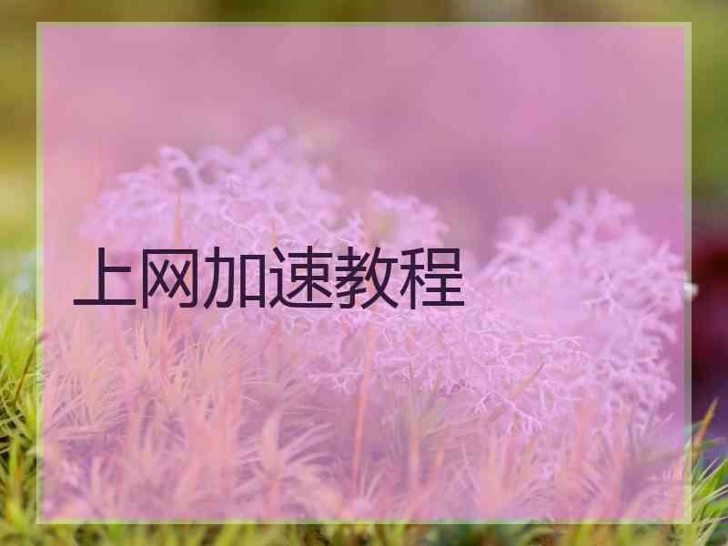 上网加速教程