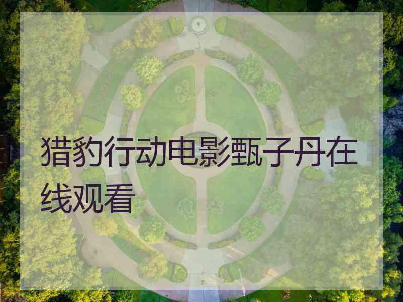 猎豹行动电影甄子丹在线观看