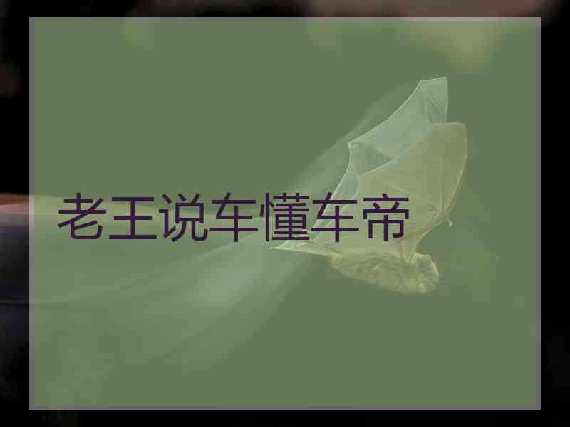 老王说车懂车帝