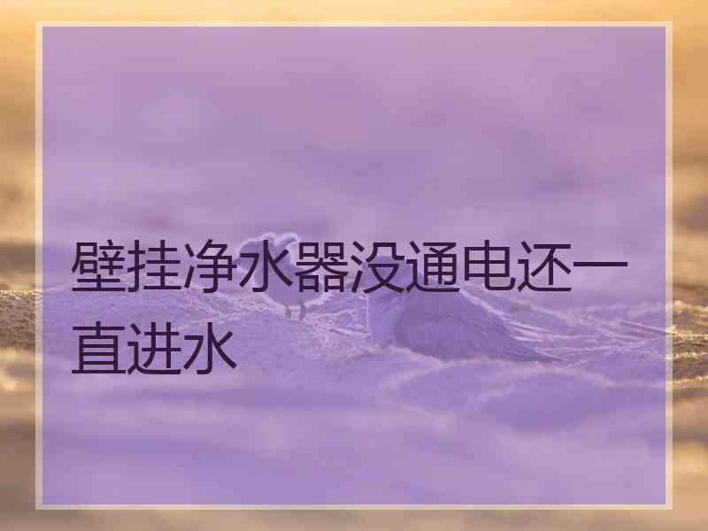 壁挂净水器没通电还一直进水