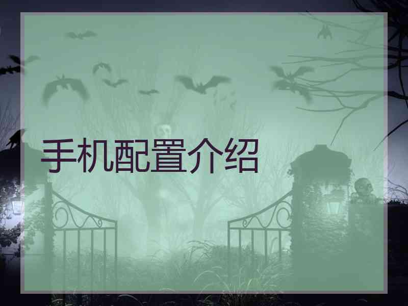 手机配置介绍