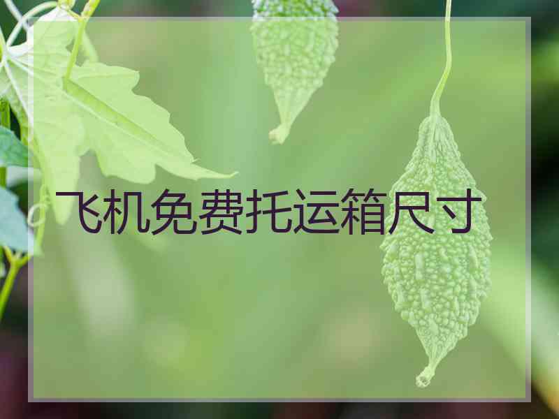 飞机免费托运箱尺寸