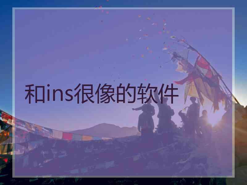 和ins很像的软件