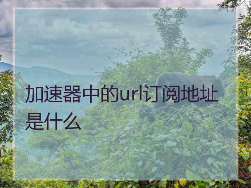加速器中的url订阅地址是什么