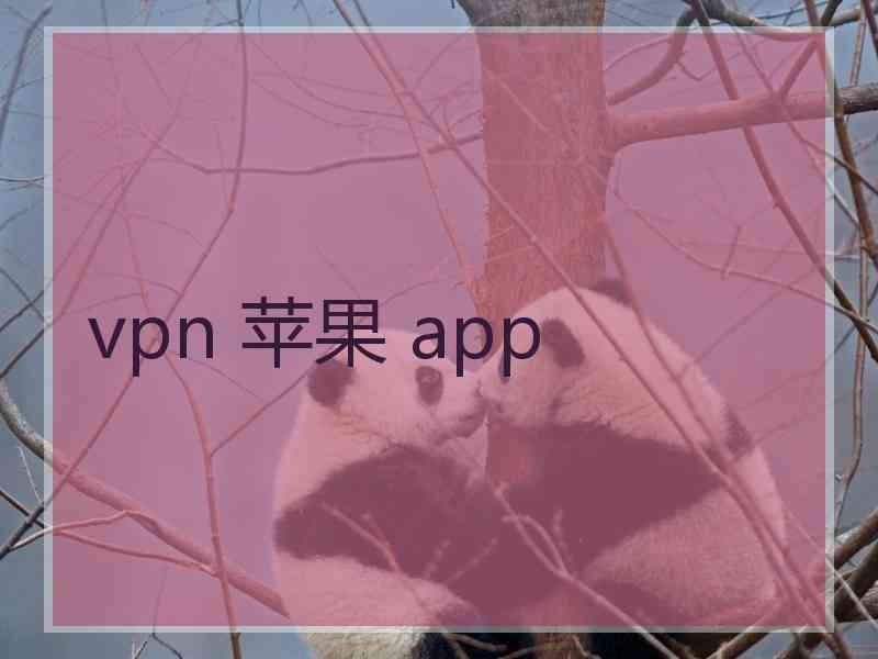 vpn 苹果 app