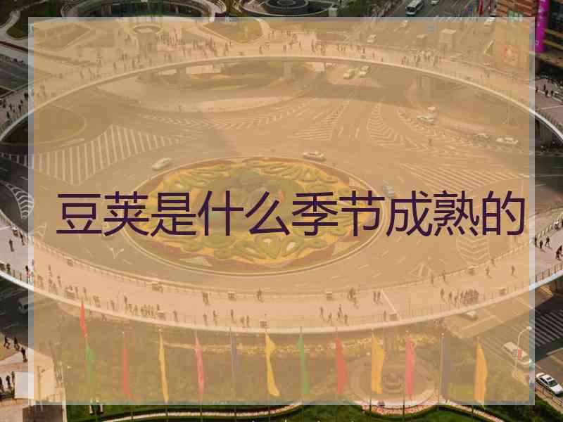 豆荚是什么季节成熟的
