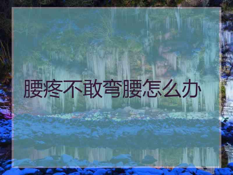 腰疼不敢弯腰怎么办