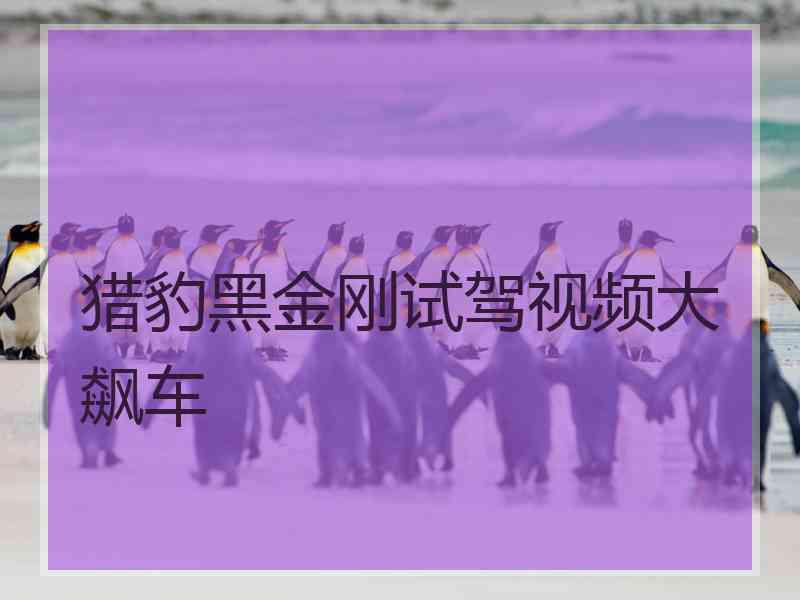 猎豹黑金刚试驾视频大飙车