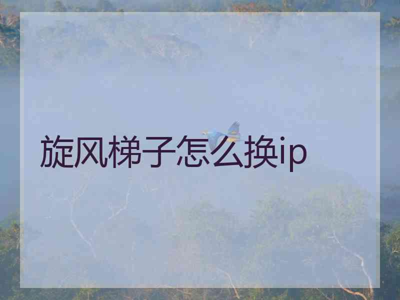 旋风梯子怎么换ip