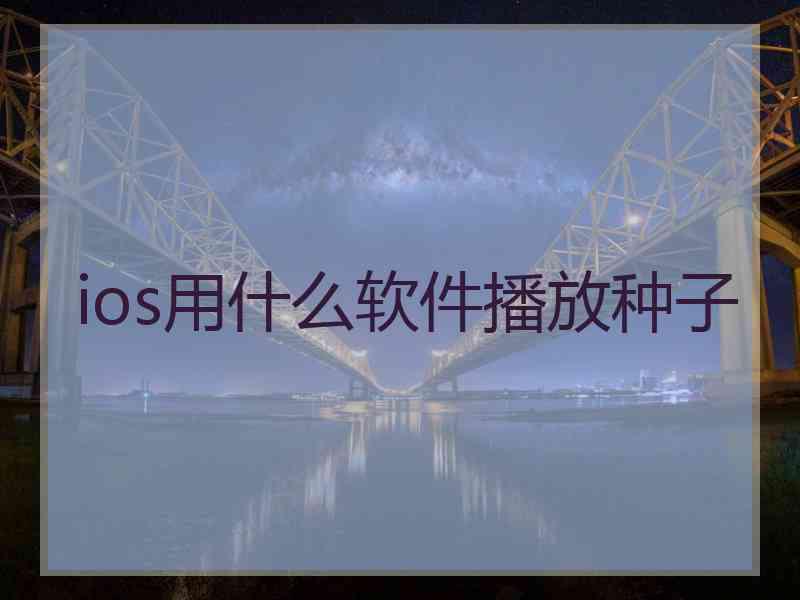 ios用什么软件播放种子
