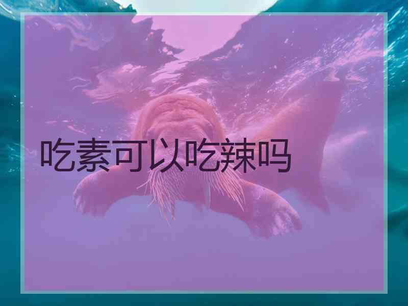 吃素可以吃辣吗