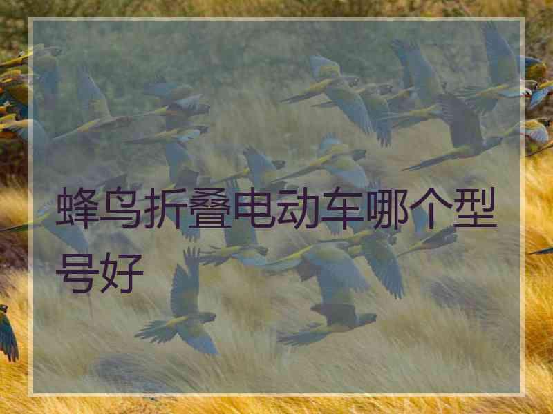 蜂鸟折叠电动车哪个型号好