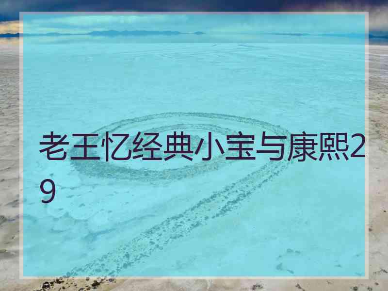 老王忆经典小宝与康熙29