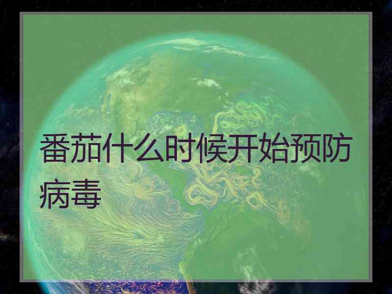 番茄什么时候开始预防病毒