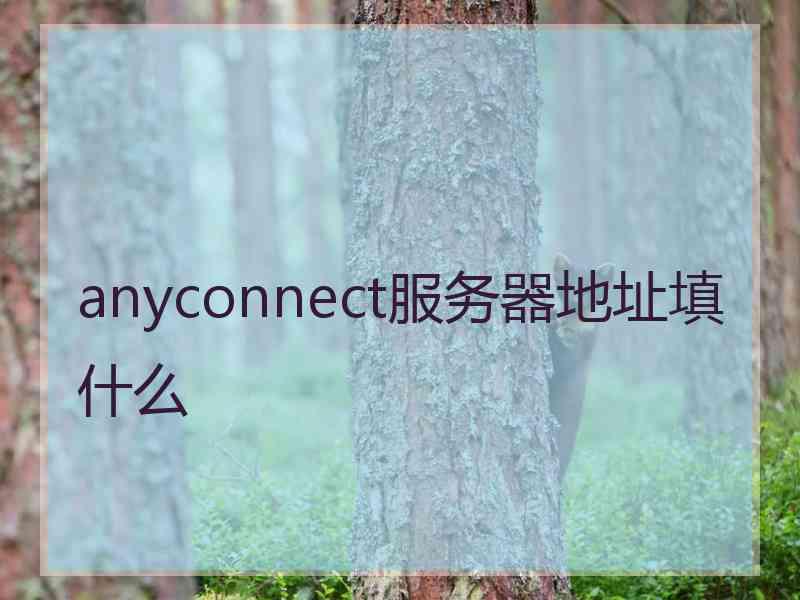 anyconnect服务器地址填什么