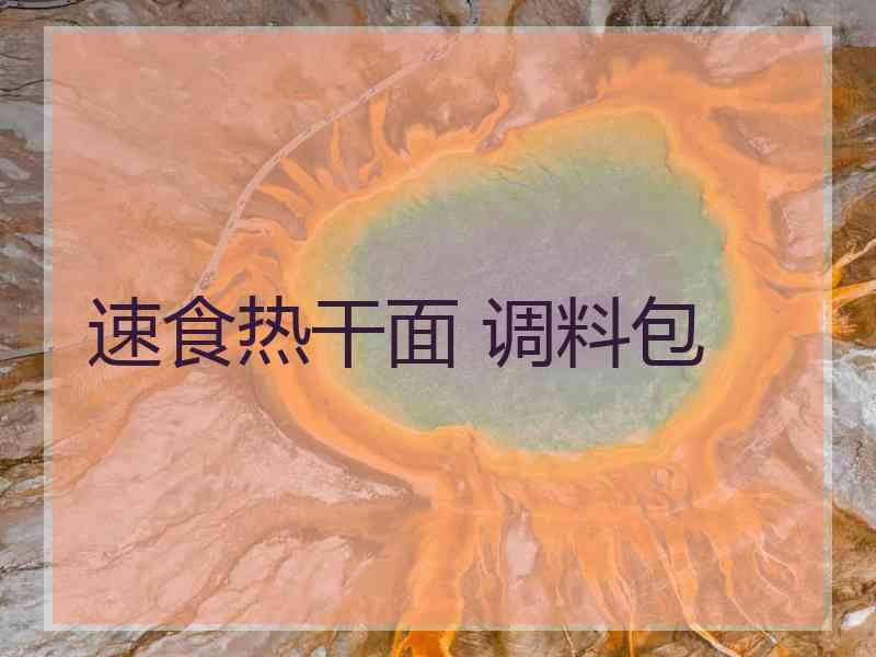 速食热干面 调料包