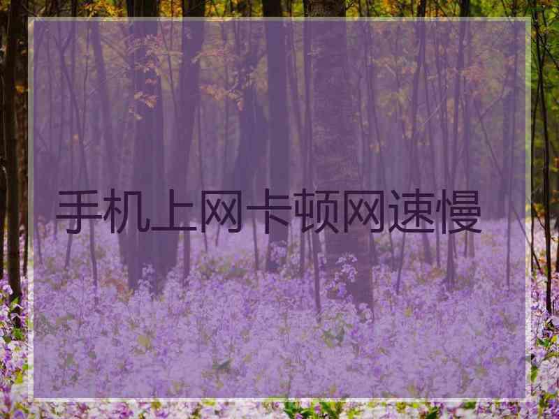 手机上网卡顿网速慢