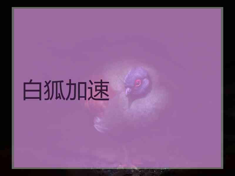 白狐加速