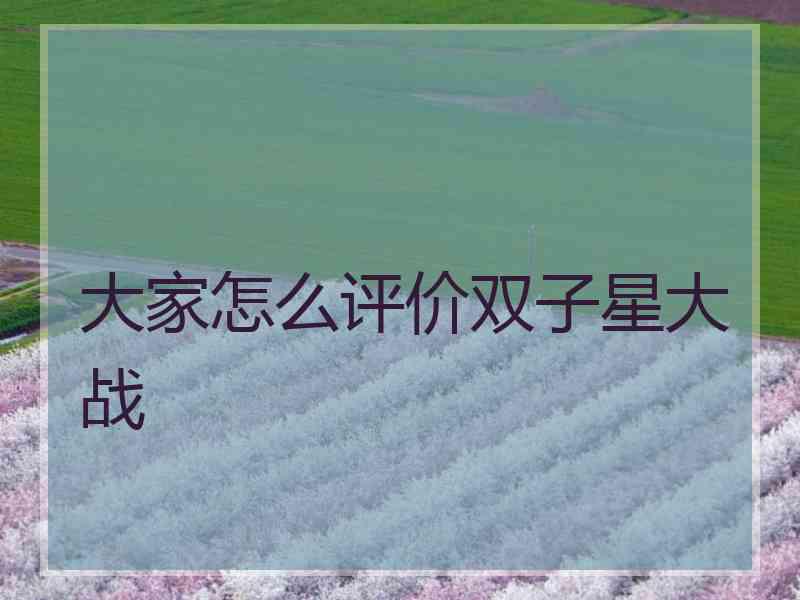 大家怎么评价双子星大战