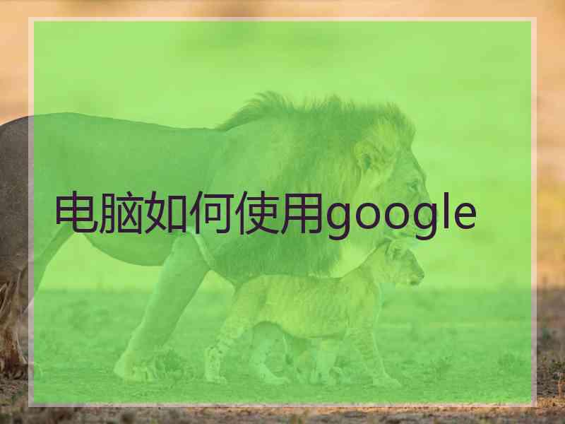电脑如何使用google