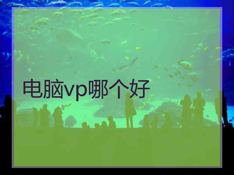 电脑vp哪个好