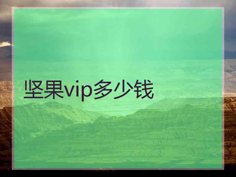 坚果vip多少钱