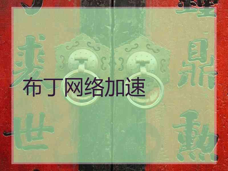 布丁网络加速