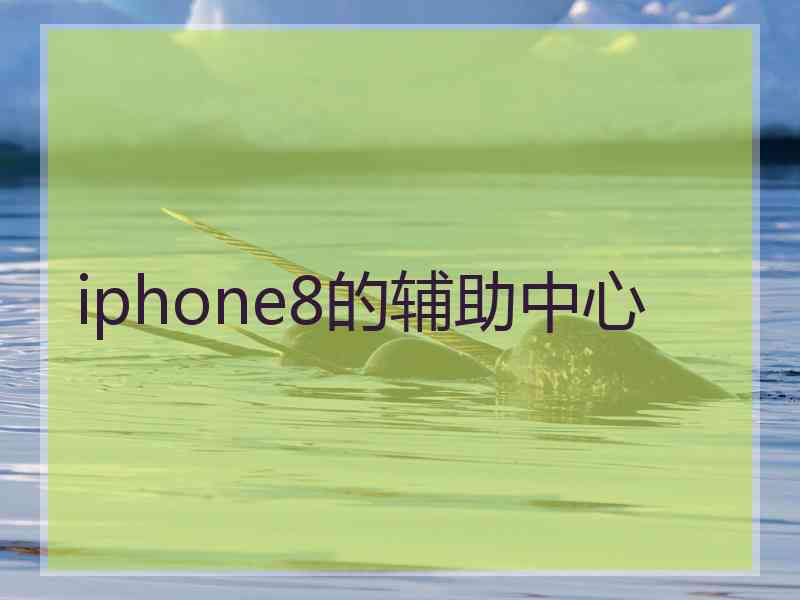 iphone8的辅助中心