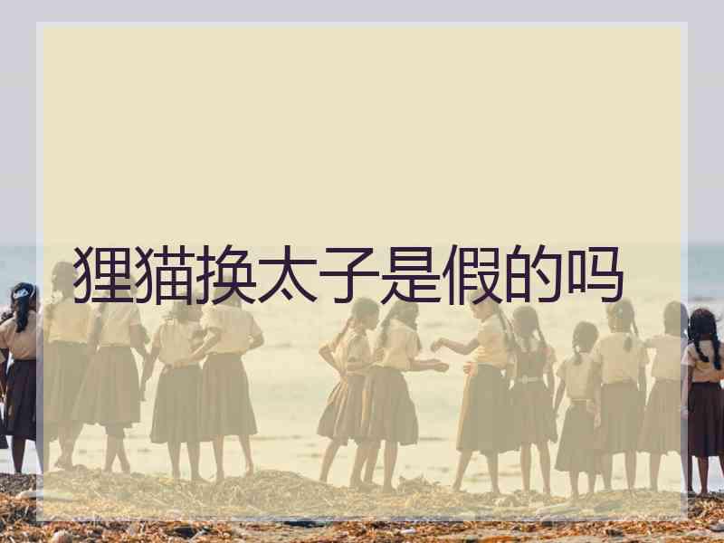 狸猫换太子是假的吗