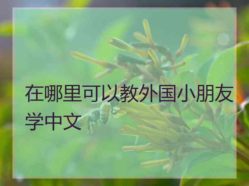 在哪里可以教外国小朋友学中文