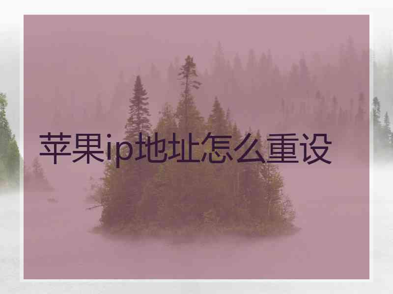 苹果ip地址怎么重设