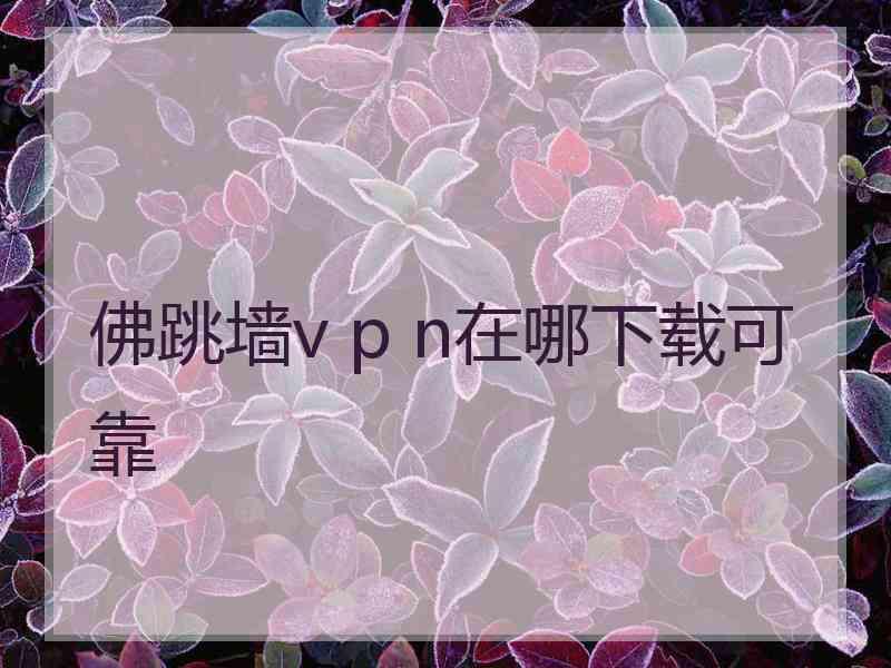 佛跳墙v p n在哪下载可靠
