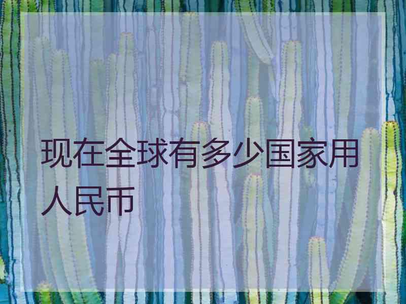 现在全球有多少国家用人民币