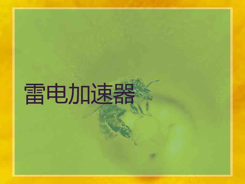 雷电加速器