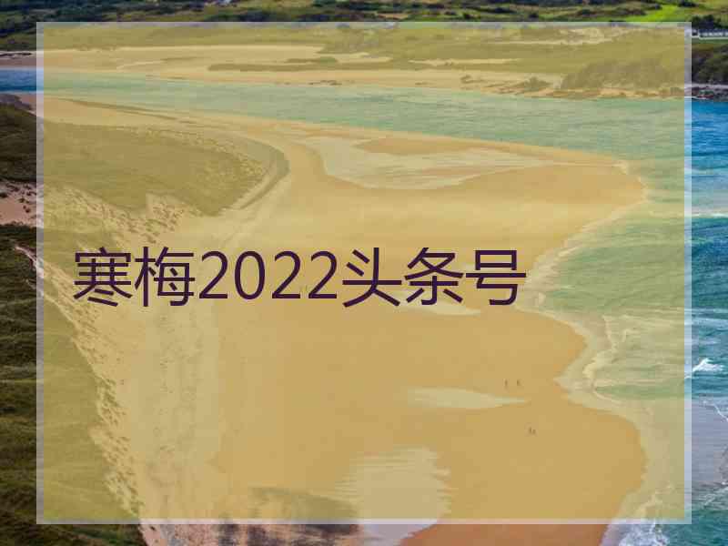 寒梅2022头条号