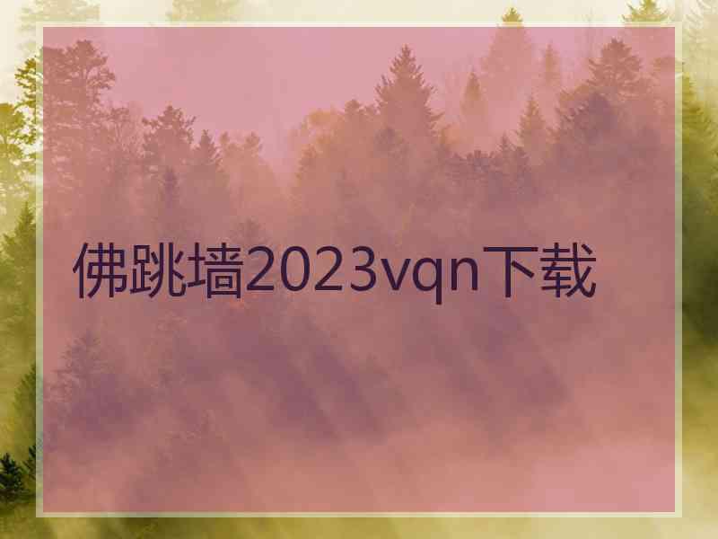 佛跳墙2023vqn下载