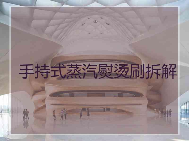 手持式蒸汽熨烫刷拆解