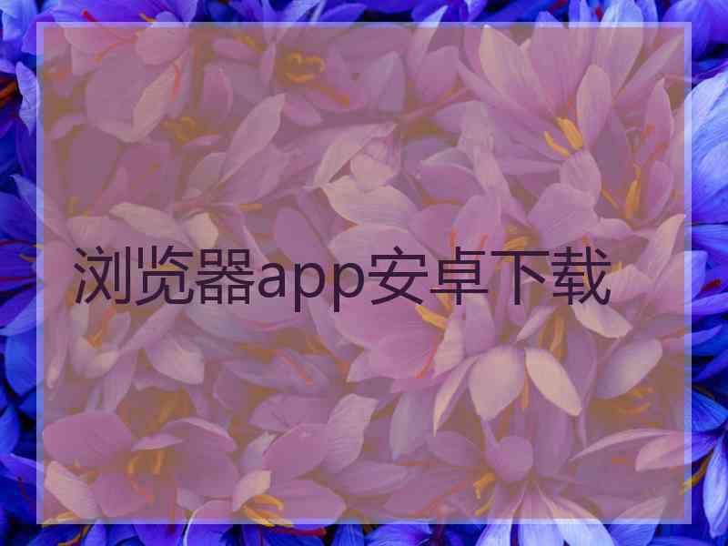 浏览器app安卓下载