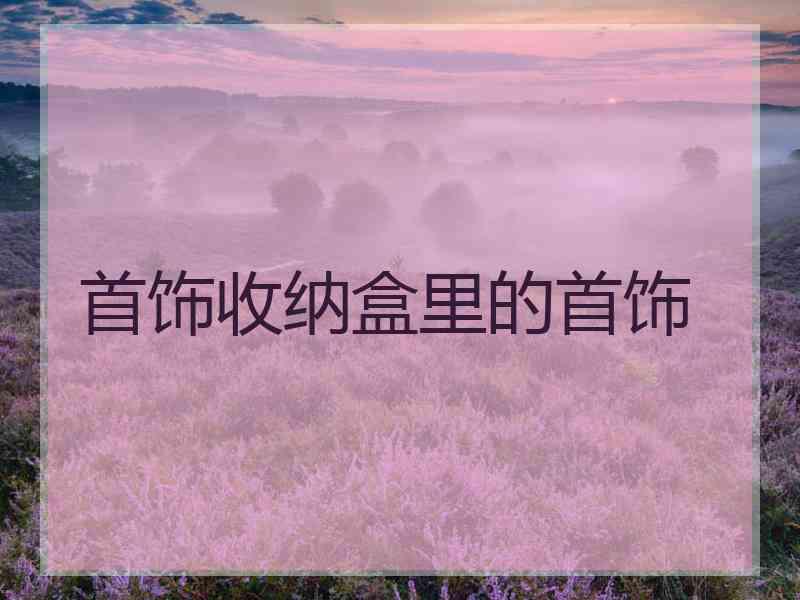首饰收纳盒里的首饰