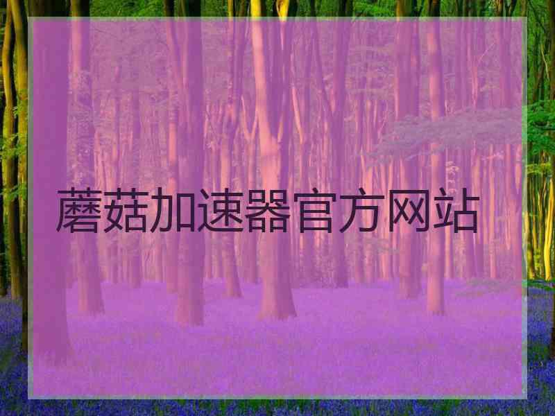 蘑菇加速器官方网站