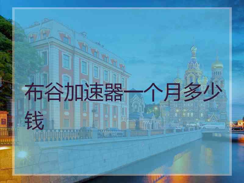 布谷加速器一个月多少钱