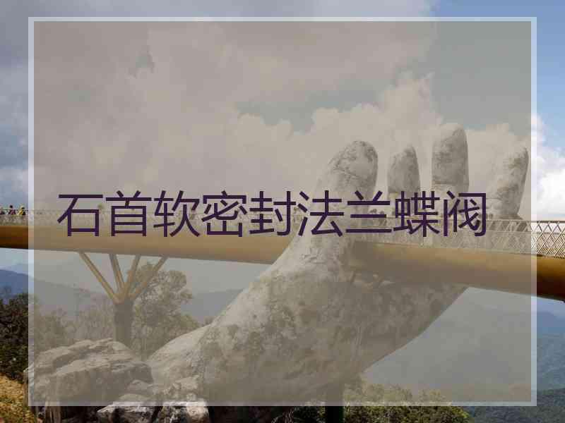 石首软密封法兰蝶阀