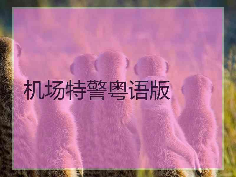 机场特警粤语版
