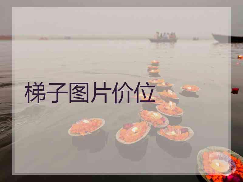 梯子图片价位