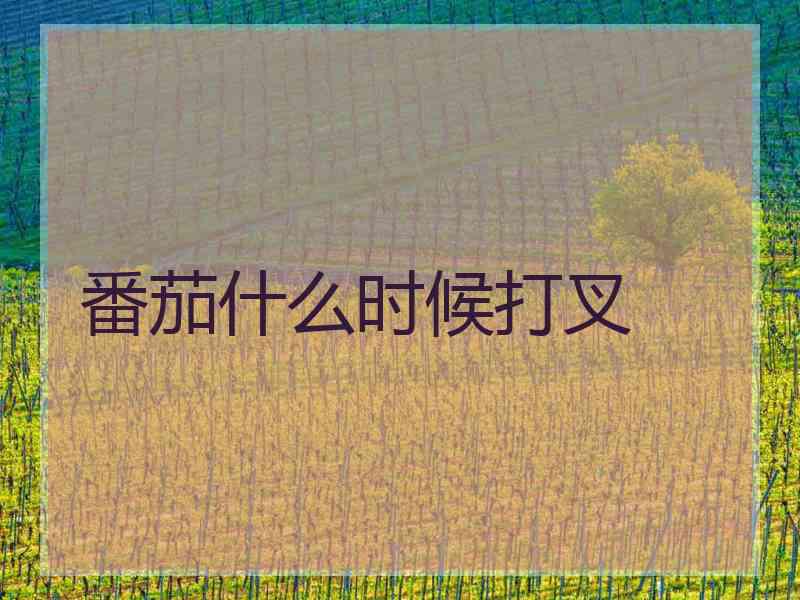 番茄什么时候打叉