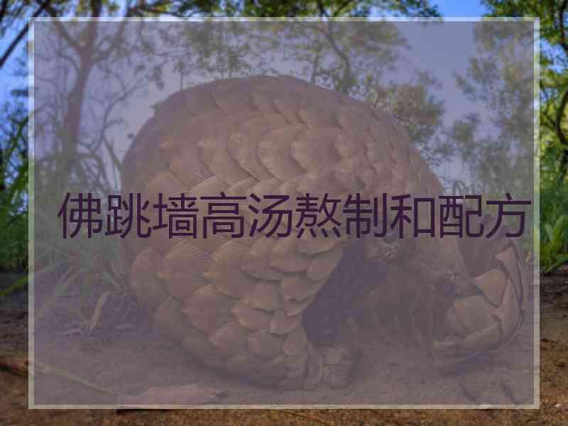 佛跳墙高汤熬制和配方